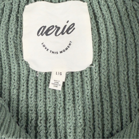 Aerie Size L Sugar Rush Chenille Sweater Polo Henley Neckline Green NEW - Picture 6 of 8